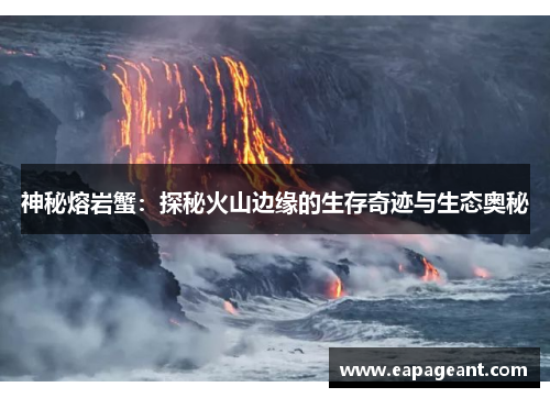 神秘熔岩蟹：探秘火山边缘的生存奇迹与生态奥秘