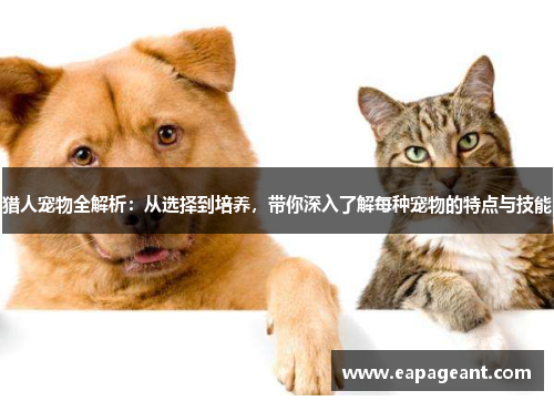 猎人宠物全解析：从选择到培养，带你深入了解每种宠物的特点与技能